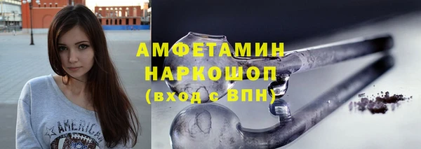 стаф Алзамай