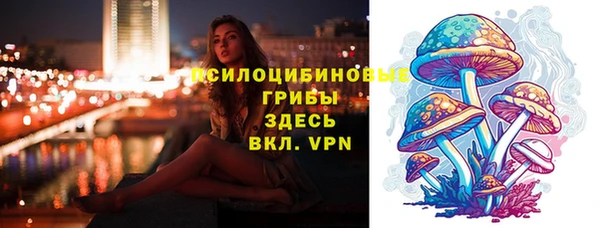 дмт Липки