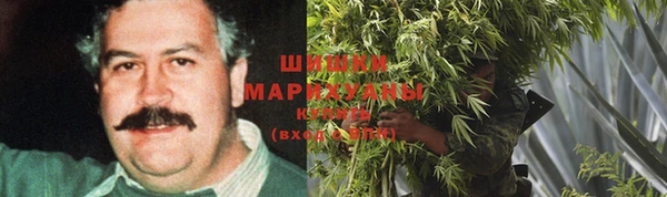PSILOCYBIN Алексин
