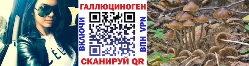 Галлюциногенные грибы ЛСД  Усть-Катав 